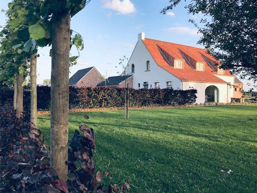 B&B Biesvenhof foto 2