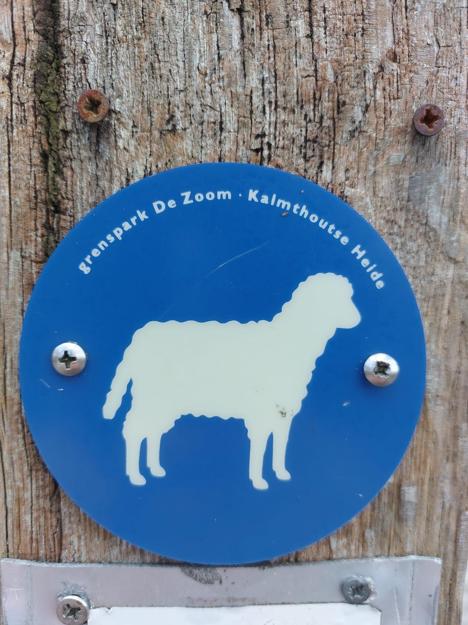 routebord Kalmthoutse Heide - Schaap