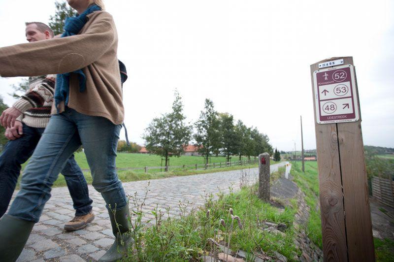 listing card gallery