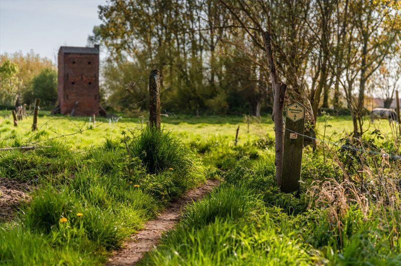 listing card gallery