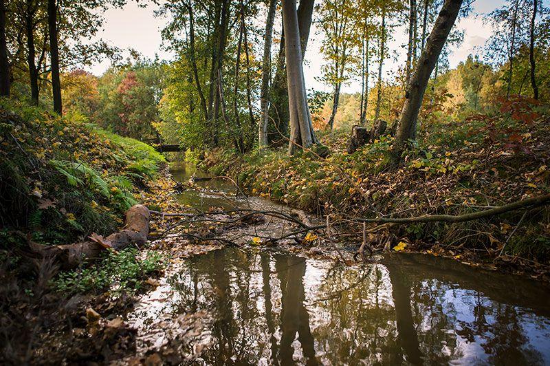De Maten - Diepenbekerbos