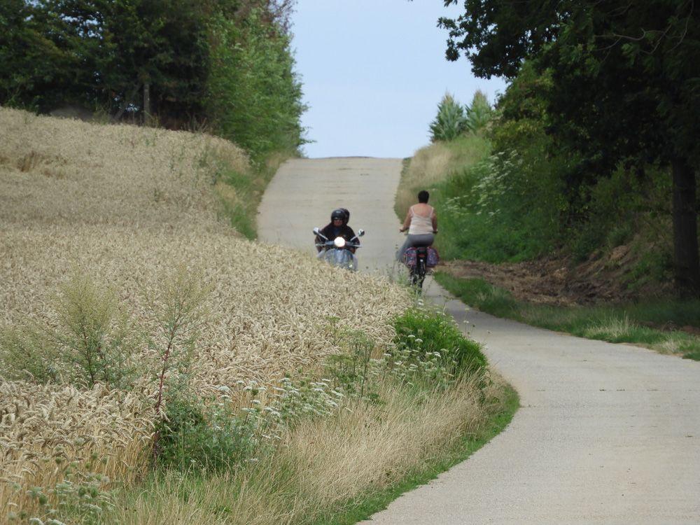Aan het Singelhof foto 3