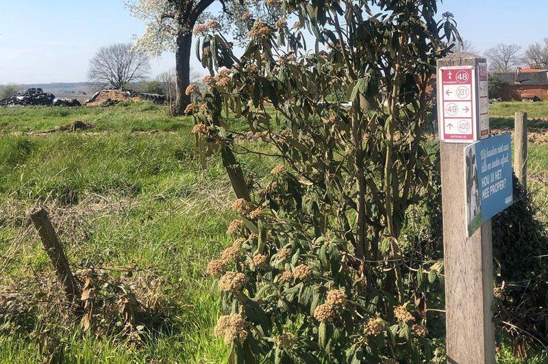 listing card gallery