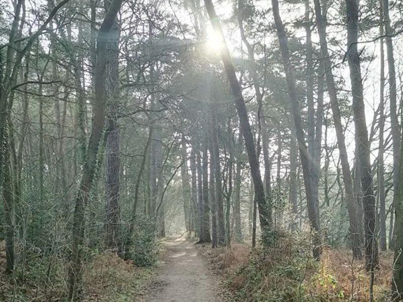 listing card gallery