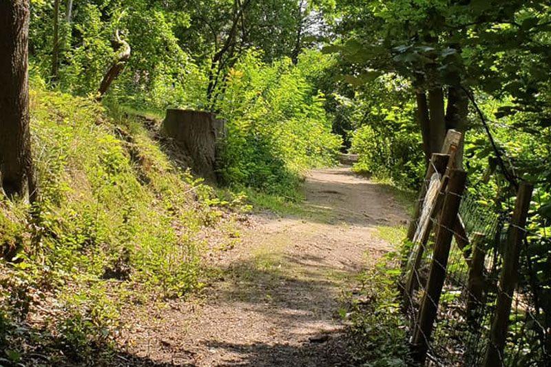 Wandelroutes in Aarschot
