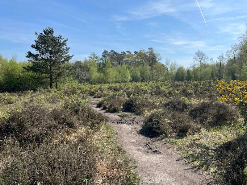 listing card gallery