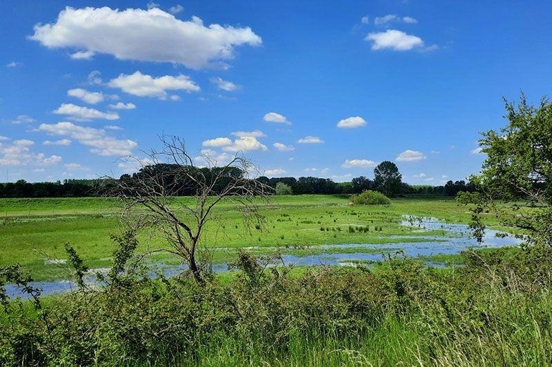 Gele wandeling Schulensmeer