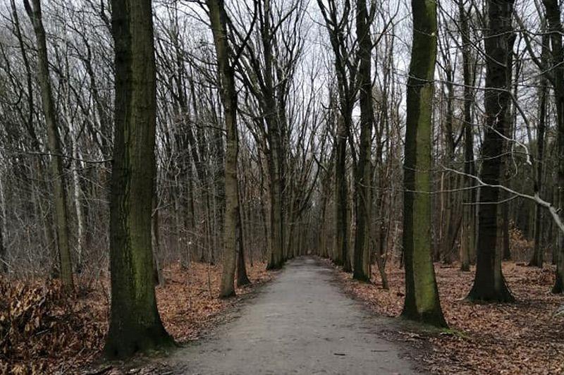 Tenierswandeling
