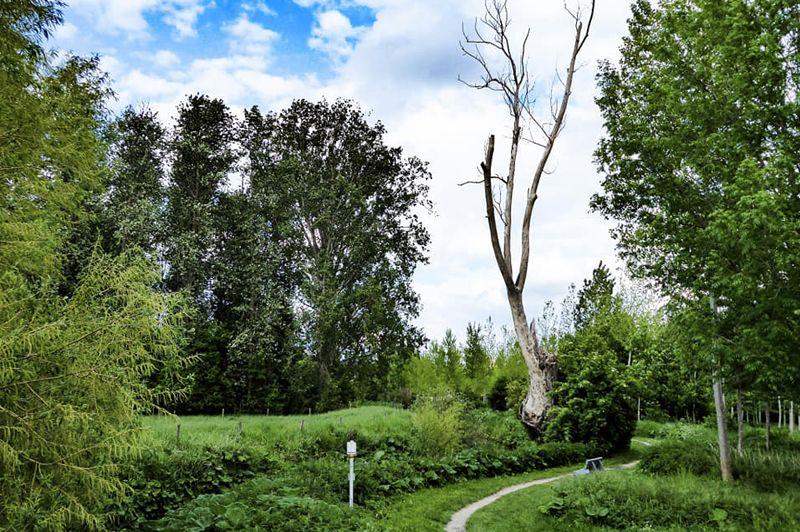 listing card gallery