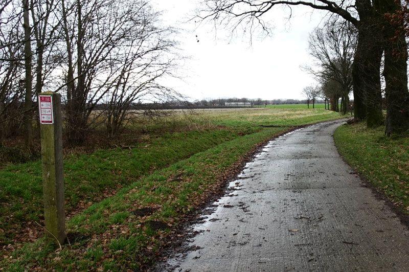 listing card gallery