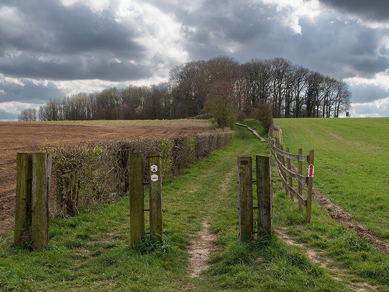 listing card gallery