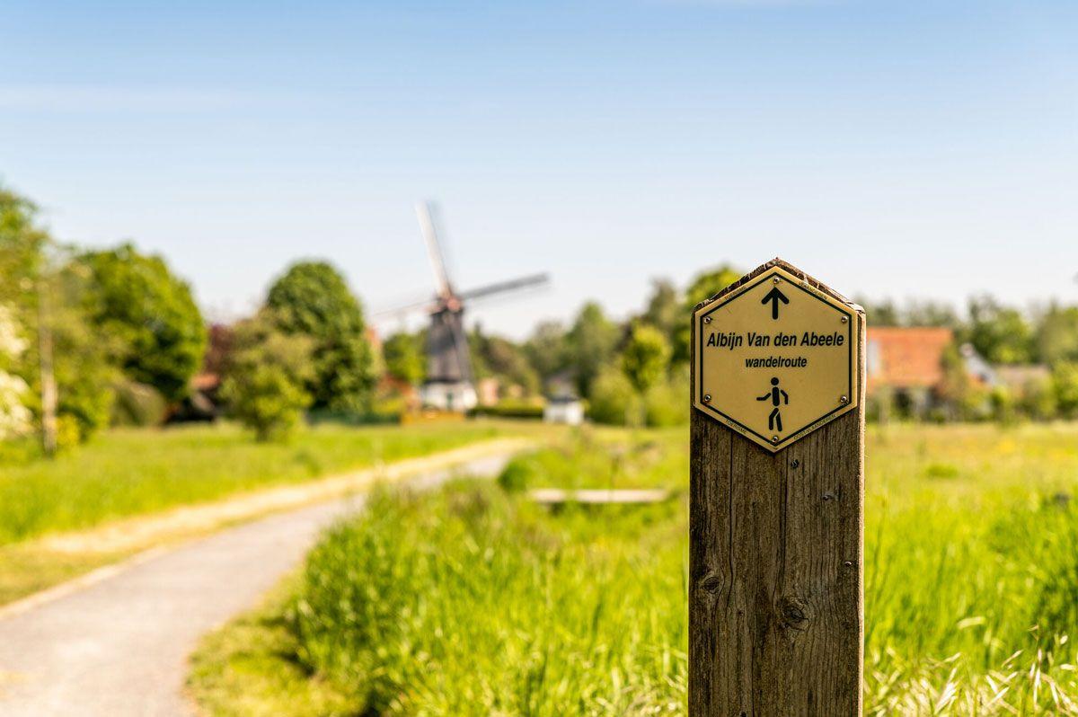 listing card gallery