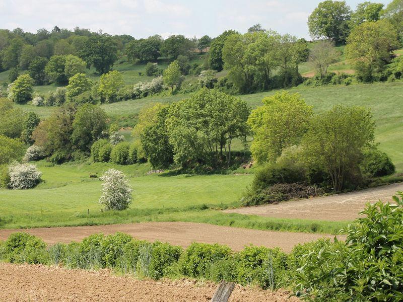 listing card gallery