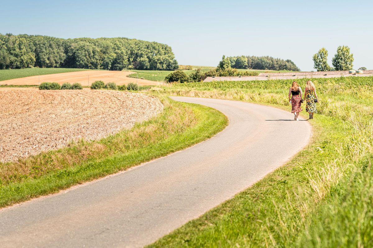 listing card gallery