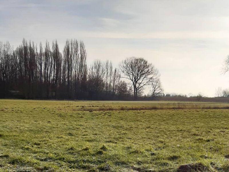 Wandelroutes in Boechout