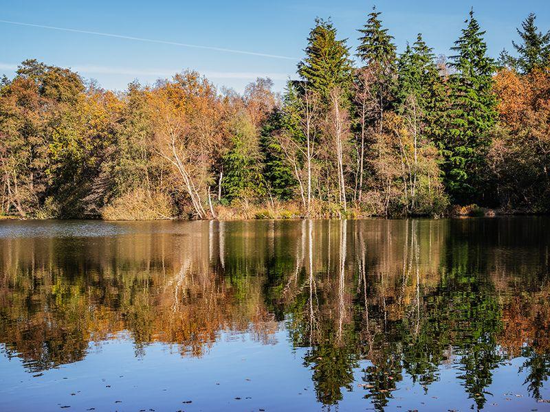 listing card gallery