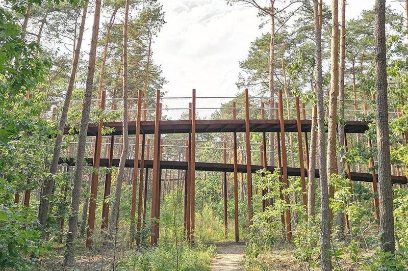 Pijnven in het Bosland