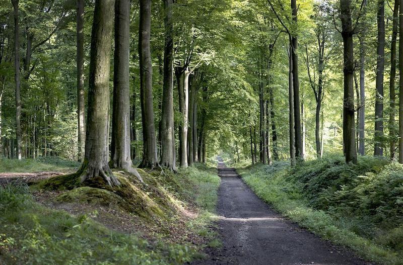 Buggywandeling - hoeve De Schapenkop