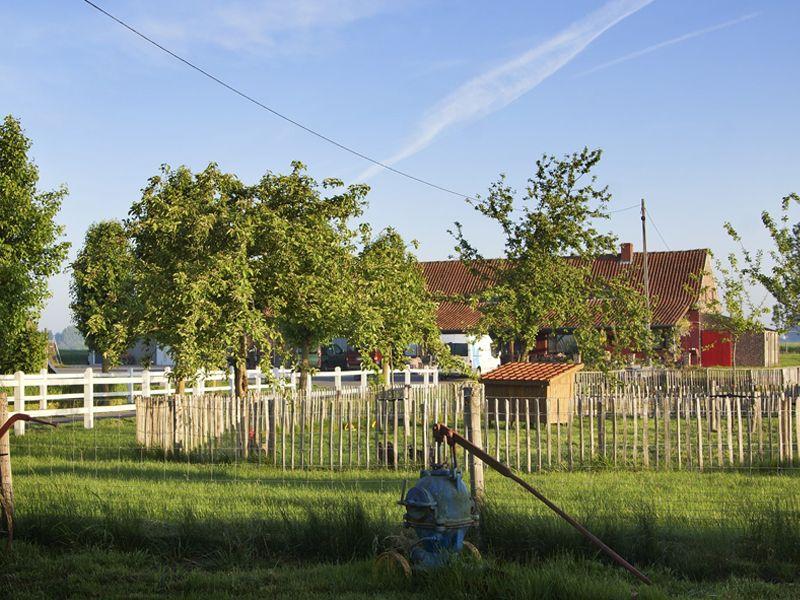 Vakantiewoning ’t Grenshof foto 3