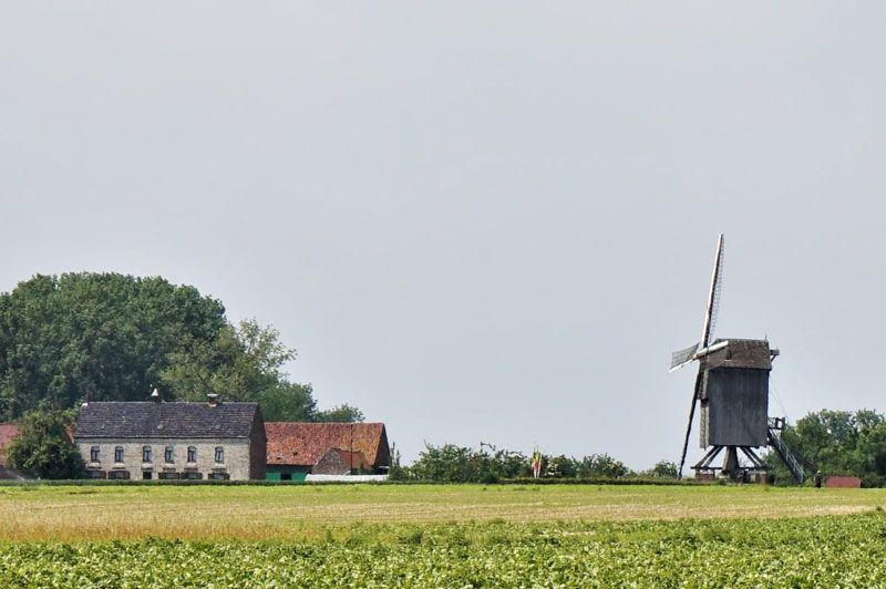 listing card gallery