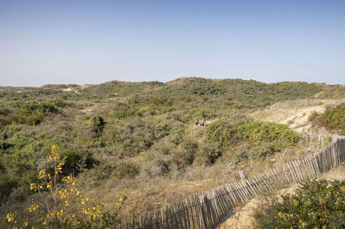 Wandelnetwerk Westkust
