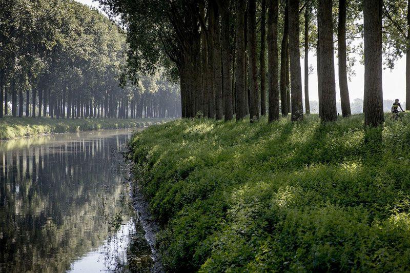 listing card gallery