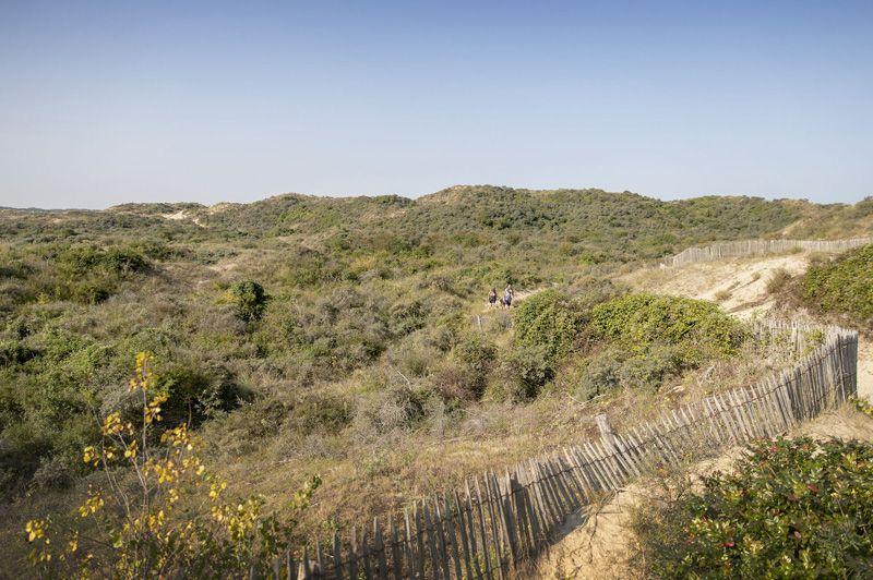 listing card gallery