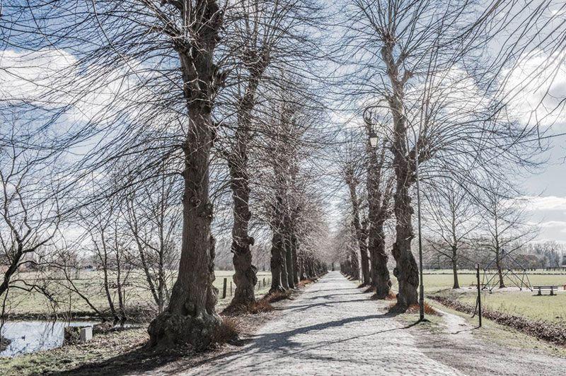 Elfdorpenfietsroute