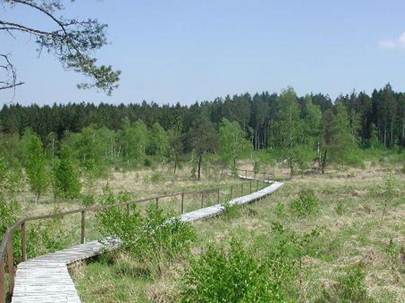 listing card gallery