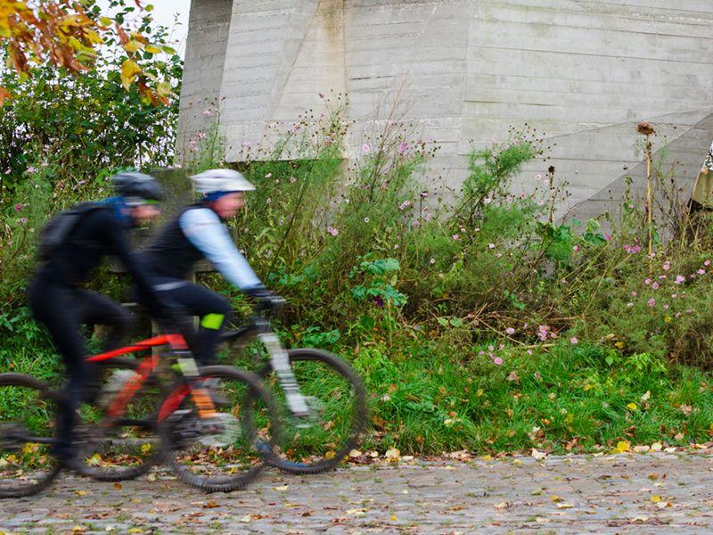 Fietsroutes in Hoeselt