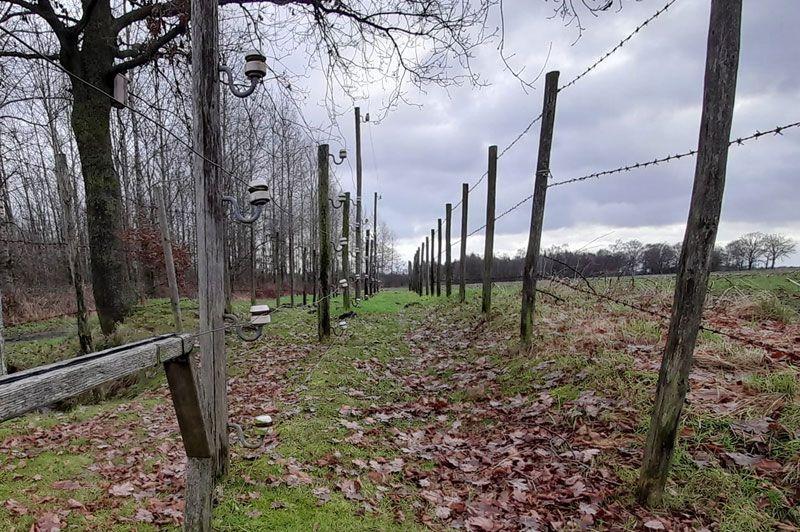 listing card gallery