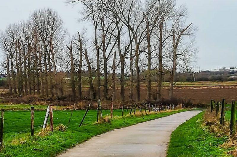 listing card gallery