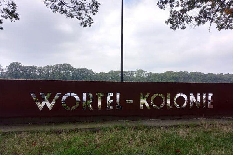 listing card gallery