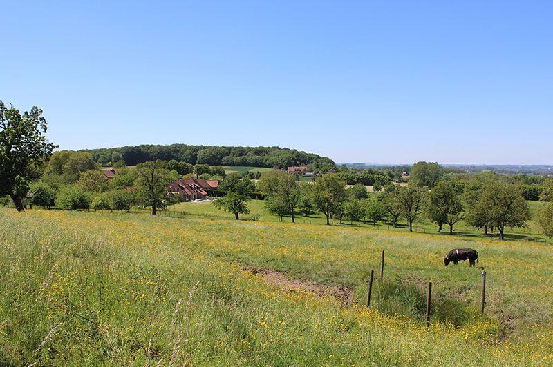 Wandelroutes in Gooik