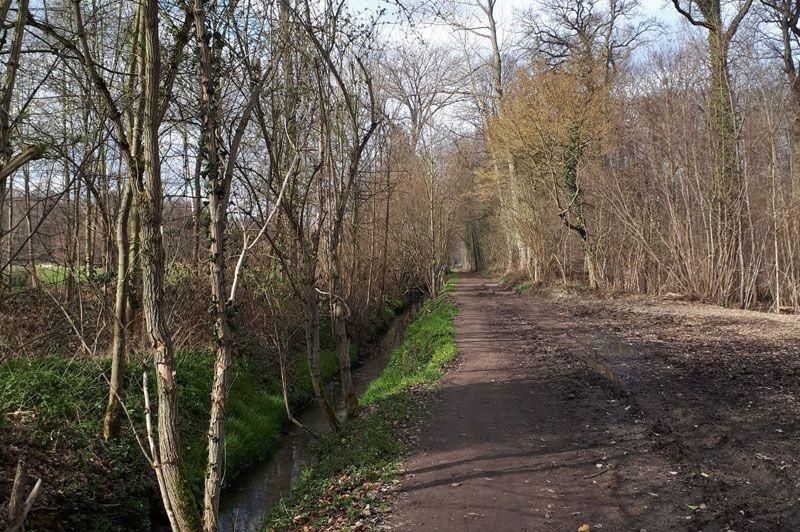 Wandelroutes in Grimbergen