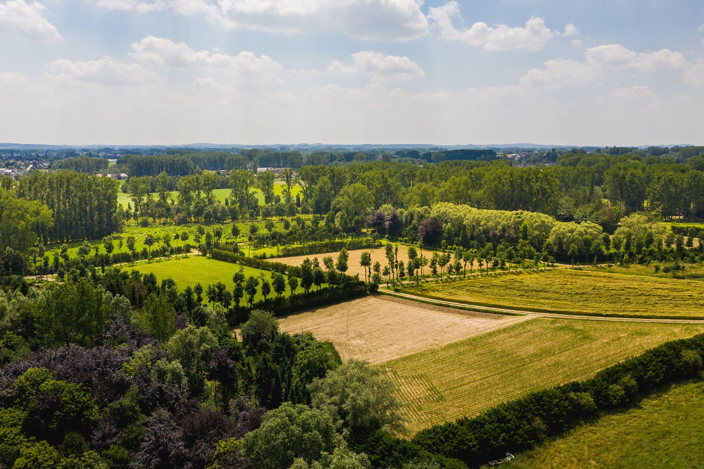 Wandelen in Groene Gordel