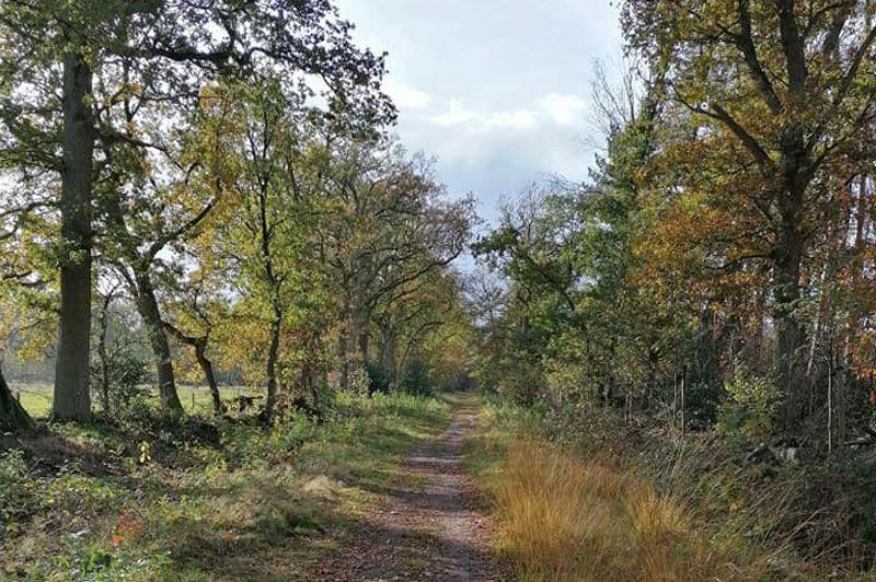 listing card gallery