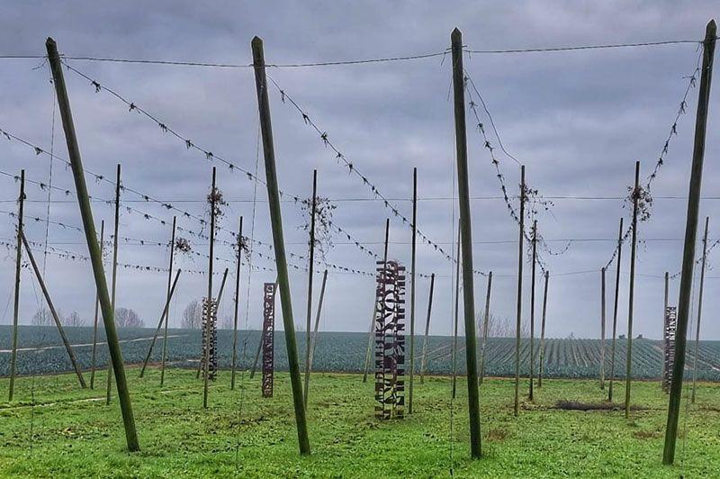 listing card gallery