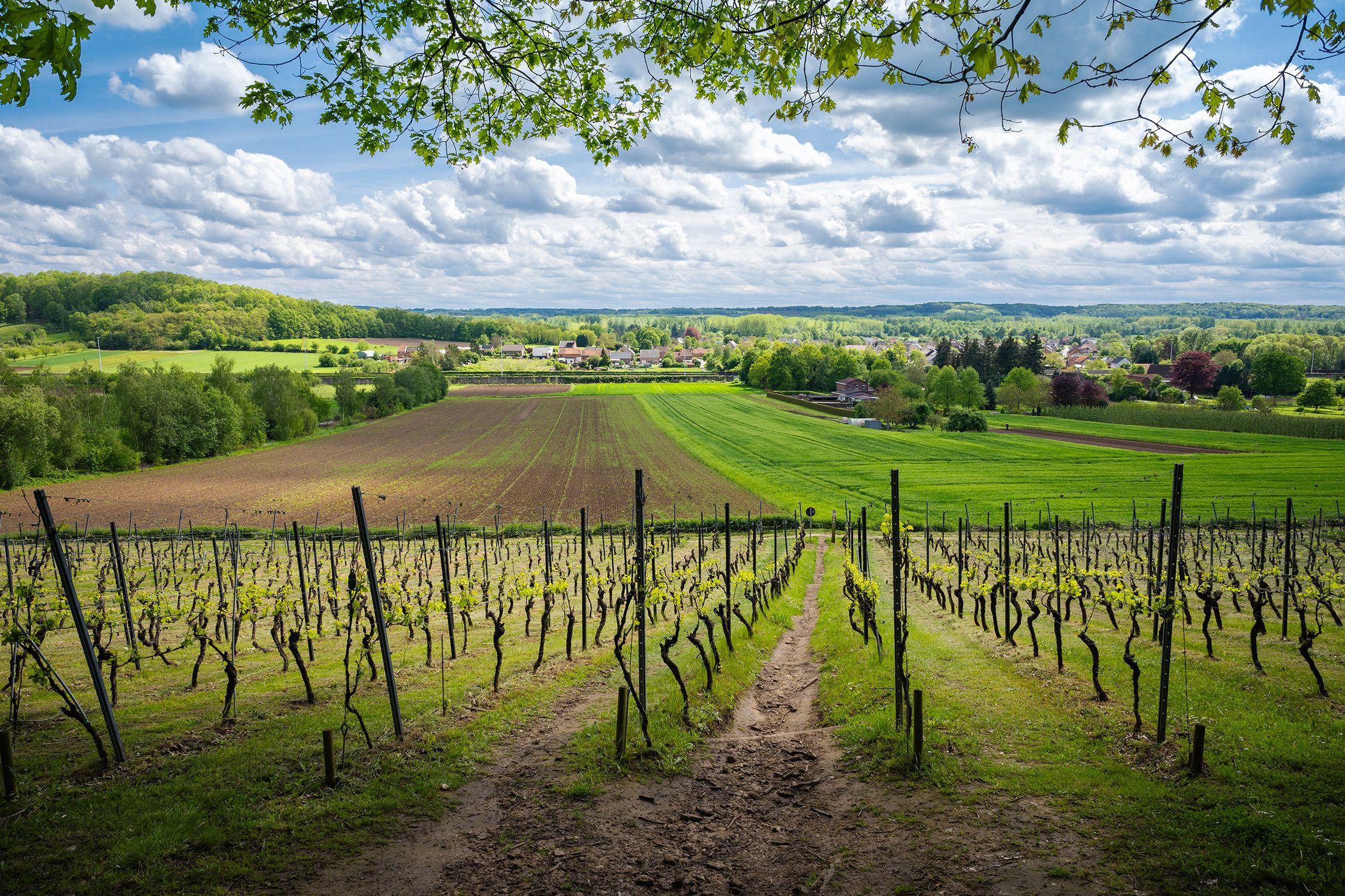 Wandelen in Hageland