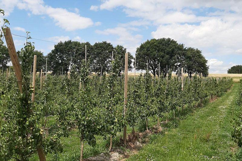 Hagelandse heuvels en valleien