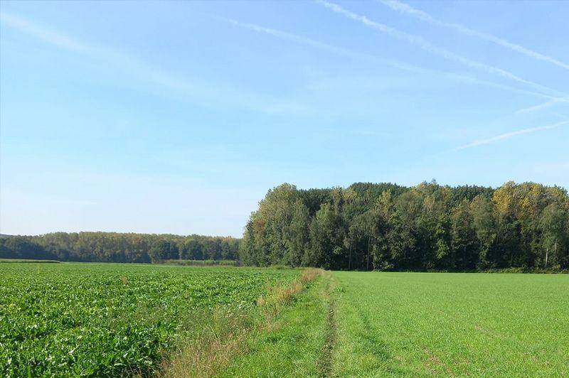 listing card gallery