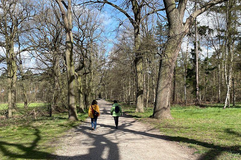 Wandelroutes in Hamont-Achel