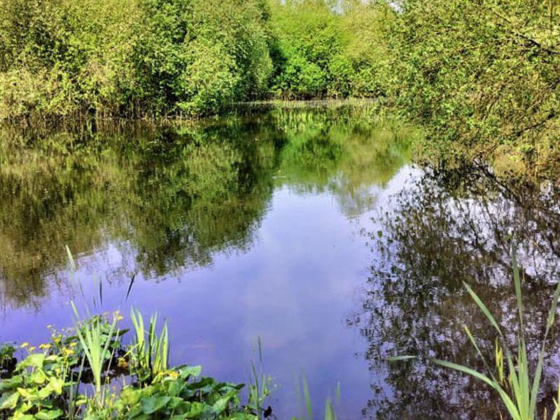 Wandelnetwerk Rivierenland