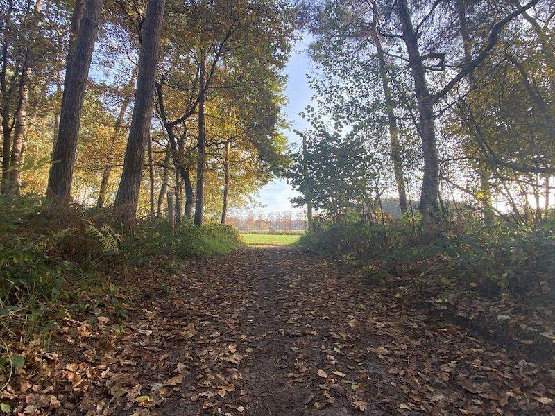 listing card gallery