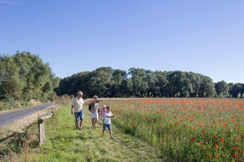 listing card gallery