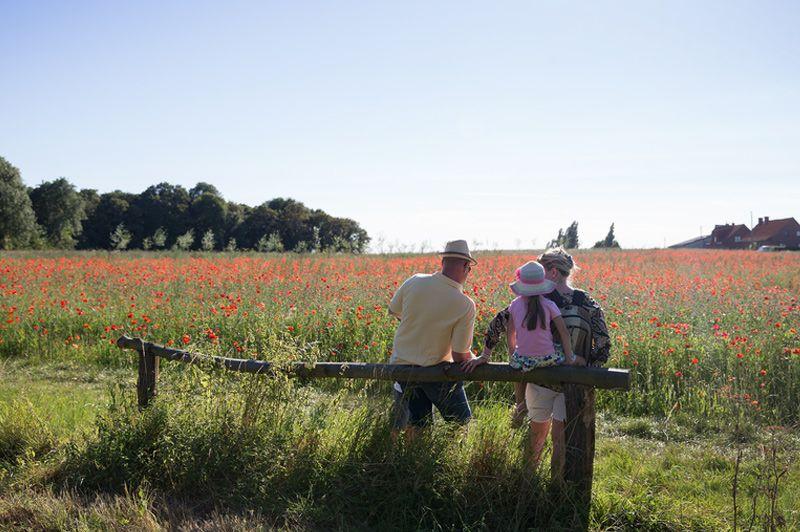 listing card gallery