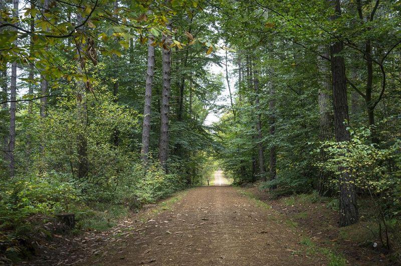 Wandelroutes in Herselt
