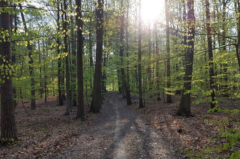 listing card gallery