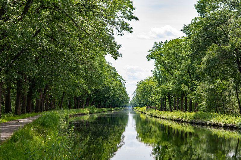 Het Warme Netepad 5km
