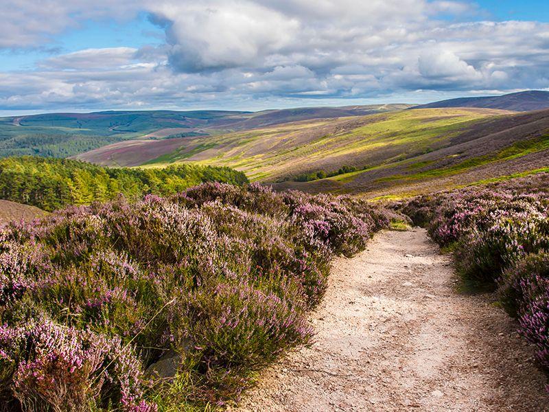 listing card gallery